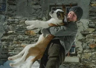 df87ac063a89c42369a19d19d8dff0b0