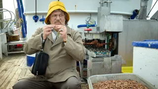 14c9691e6cb59033bab14290cc5aef33